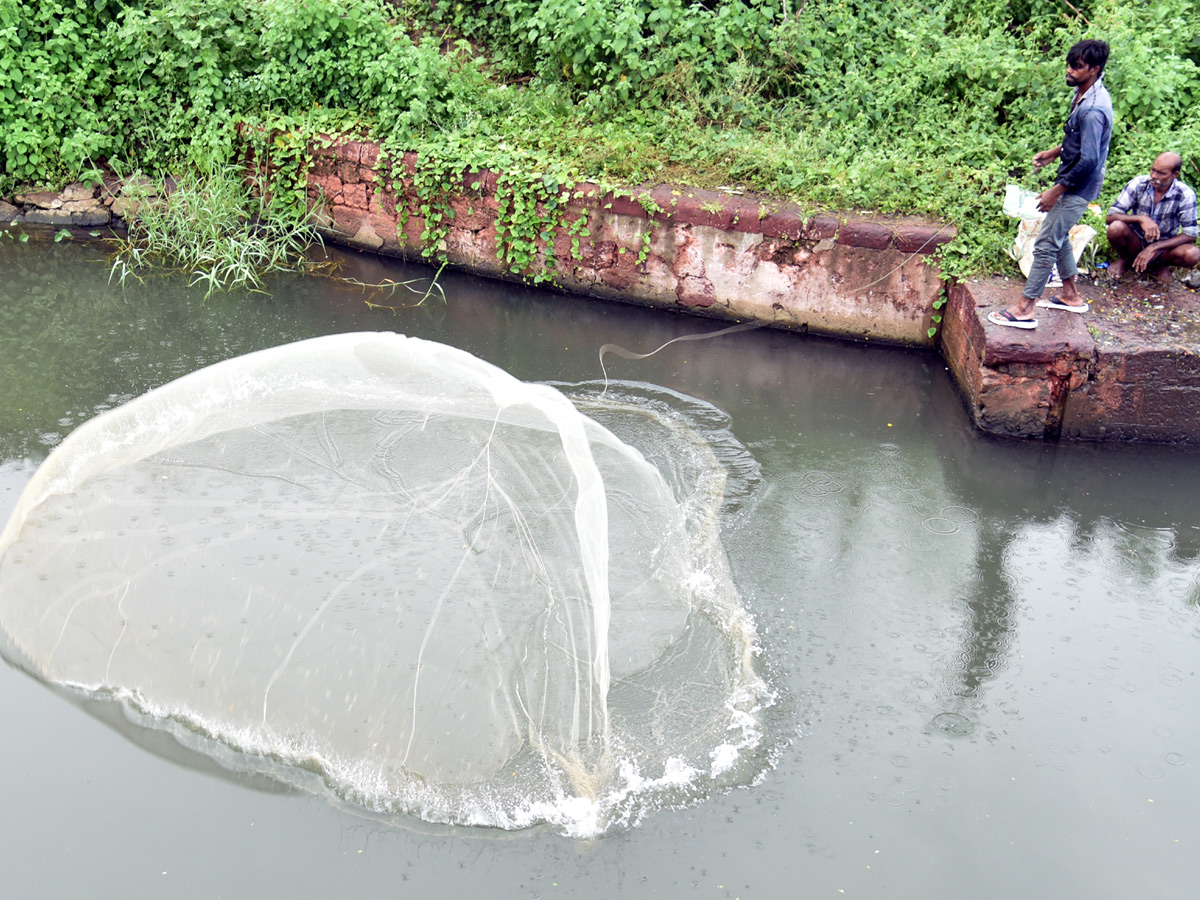 Best Photos of The Week in AP and Telangana Photo Gallery - Sakshi42