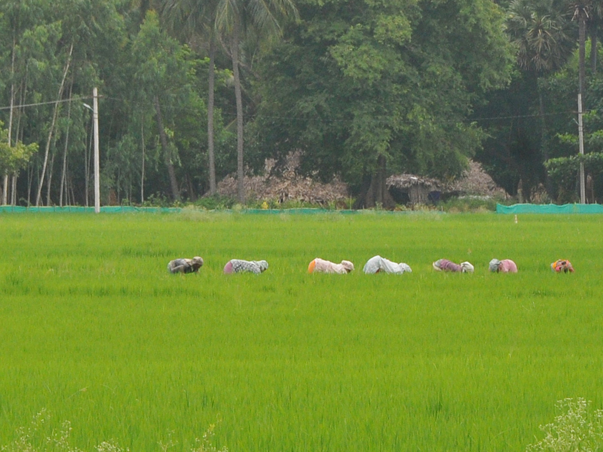 Best Photos of The Week in AP and Telangana Photo Gallery - Sakshi68