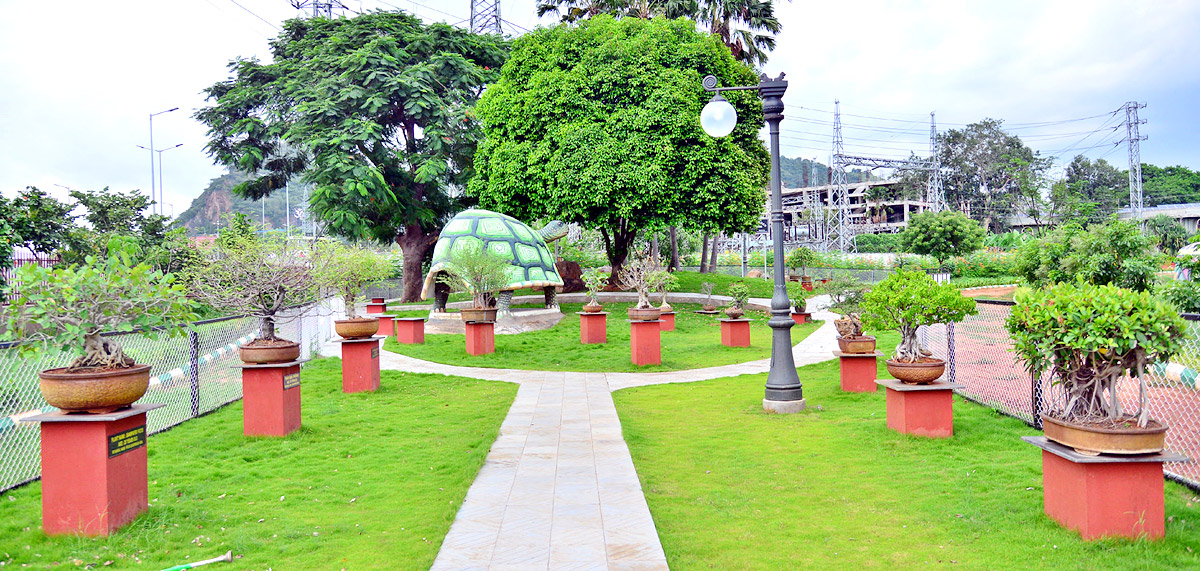 Rajiv Gandhi Park in Vijayawada - Sakshi6