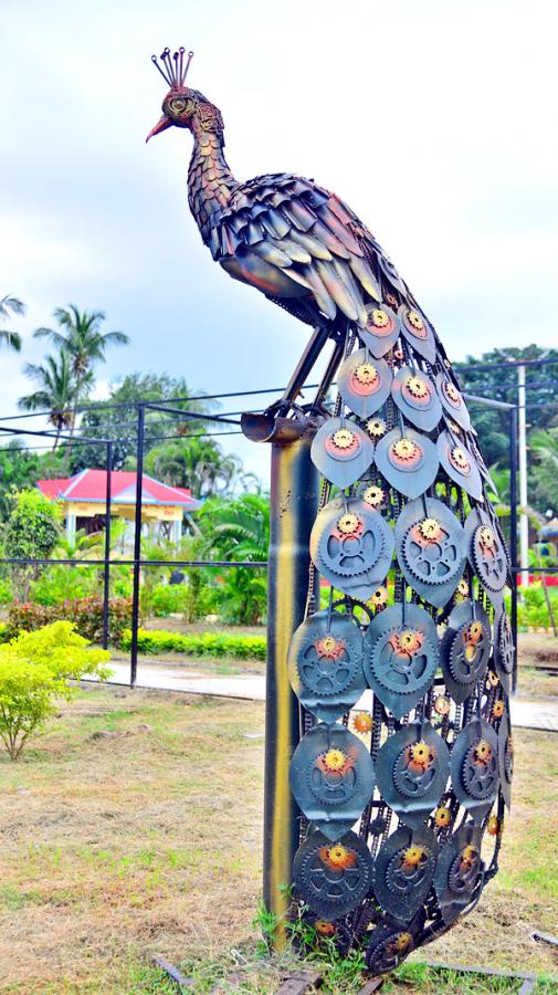 Rajiv Gandhi Park in Vijayawada - Sakshi18
