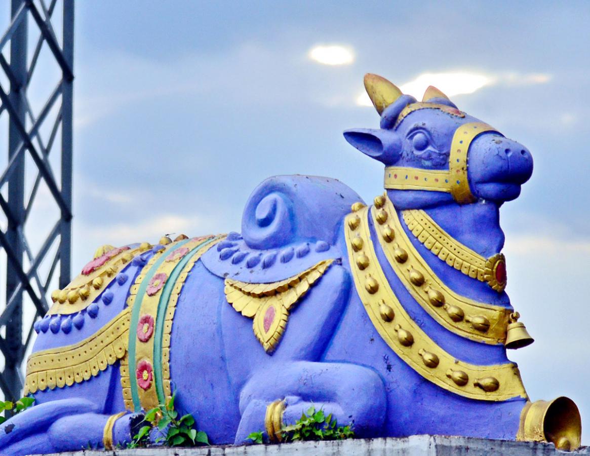 Rajiv Gandhi Park in Vijayawada - Sakshi8