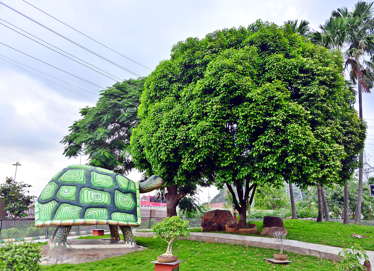 Rajiv Gandhi Park in Vijayawada - Sakshi12