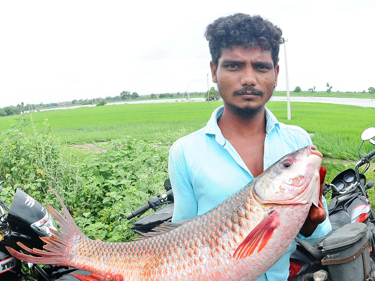 Best Photos of The Week in AP and Telangana Photo Gallery - Sakshi1