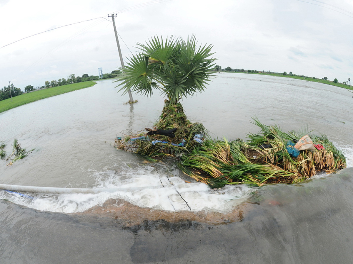 Best Photos of The Week in AP and Telangana Photo Gallery - Sakshi17
