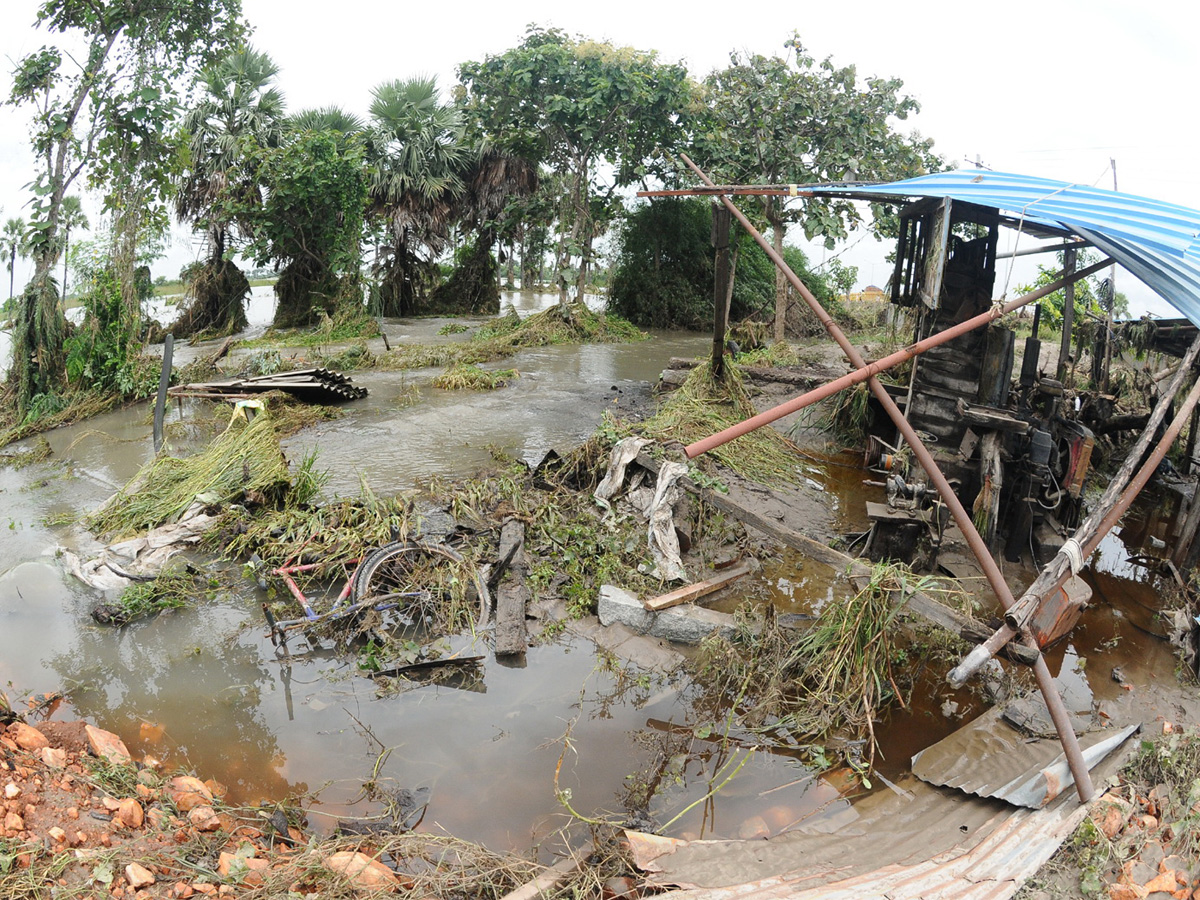Best Photos of The Week in AP and Telangana Photo Gallery - Sakshi19