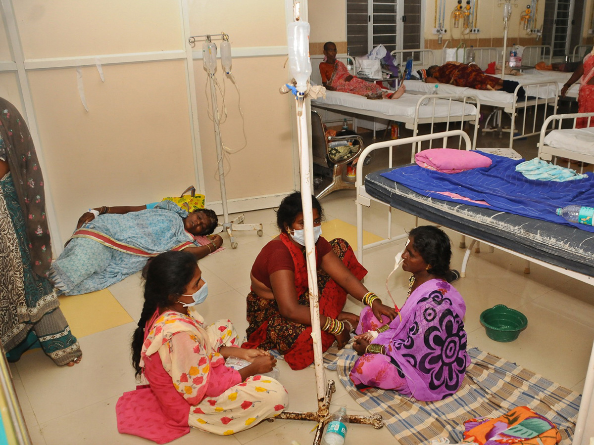 Best Photos of The Week in AP and Telangana Photo Gallery - Sakshi23