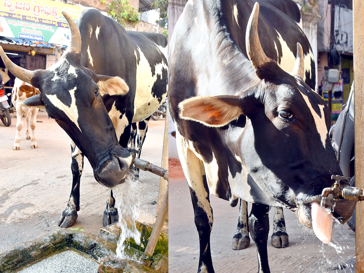 Best Photos of The Week in AP and Telangana Photo Gallery - Sakshi37