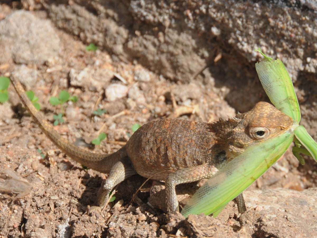 Best Photos of The Week in AP and Telangana Photo Gallery - Sakshi58