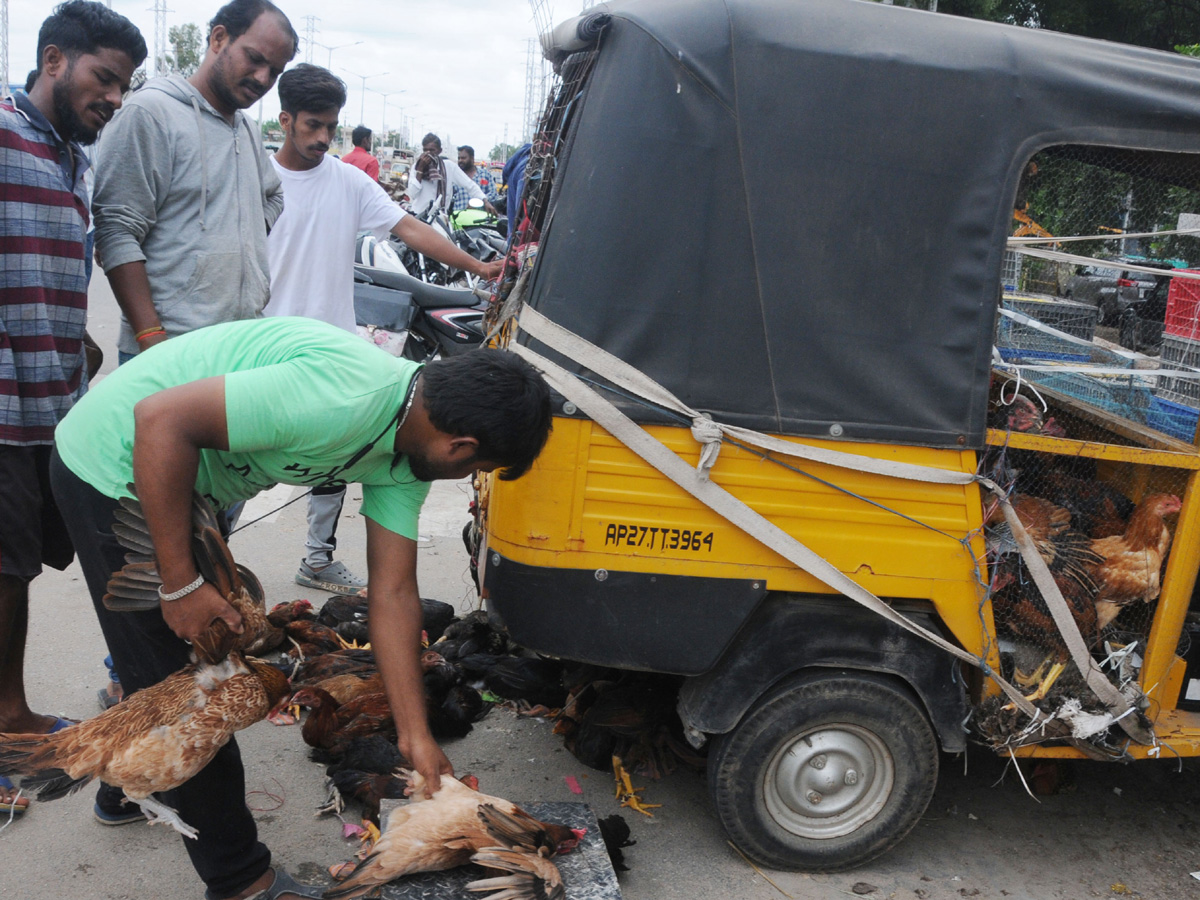 Best Photos of The Week in AP and Telangana Photo Gallery - Sakshi62