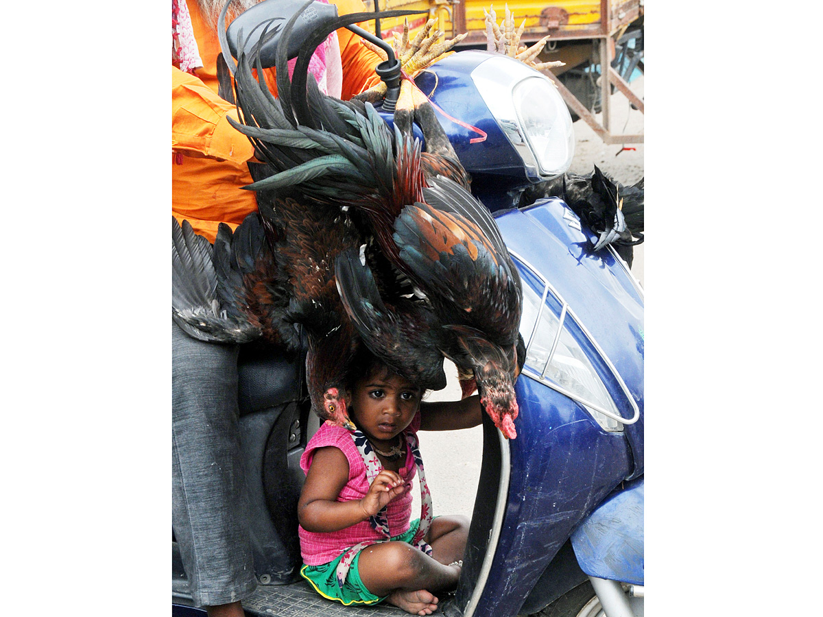 Best Photos of The Week in AP and Telangana Photo Gallery - Sakshi64