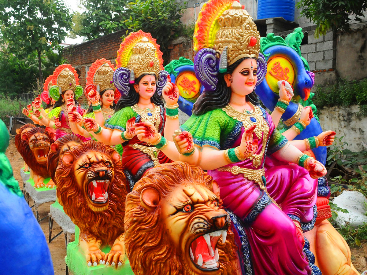 Best Photos of The Week in AP and Telangana Photo Gallery - Sakshi13