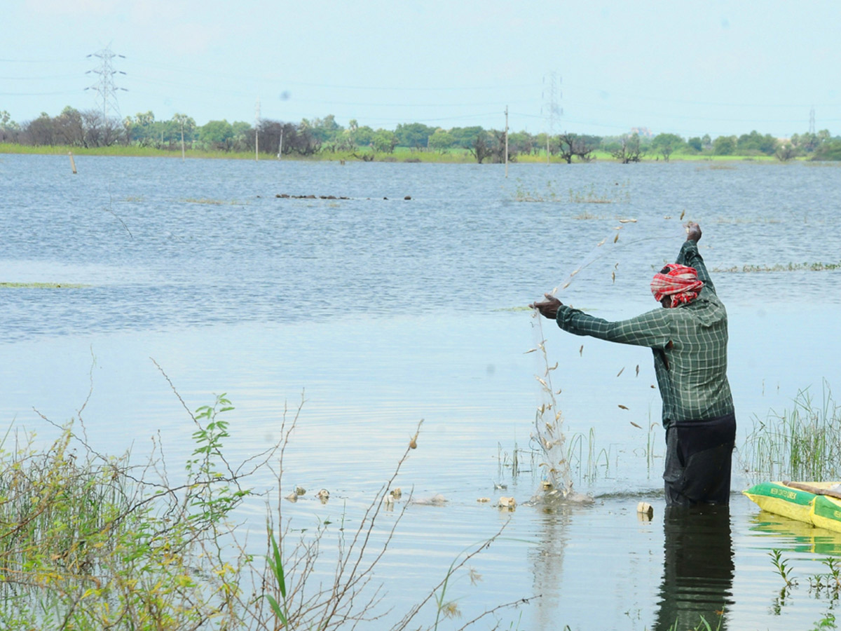 Best Photos of The Week in AP and Telangana Photo Gallery - Sakshi15