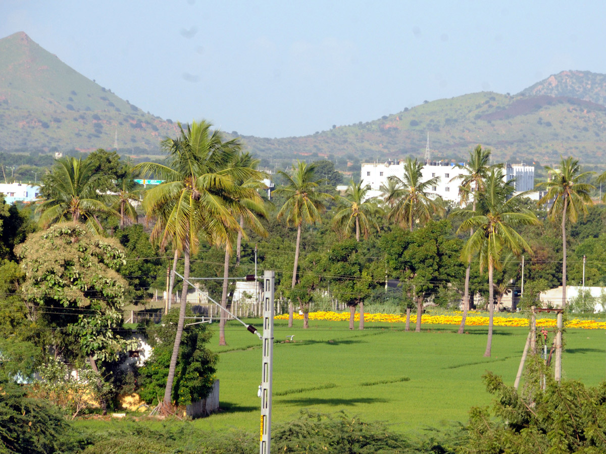 Best Photos of The Week in AP and Telangana Photo Gallery - Sakshi42