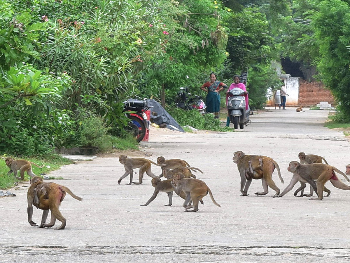 Best Photos of The Week in AP and Telangana Photo Gallery - Sakshi45