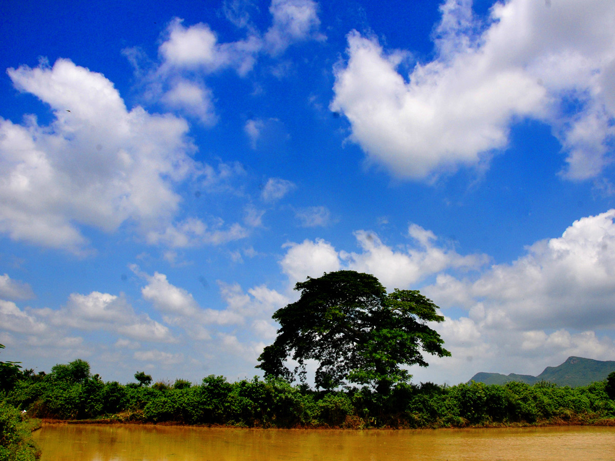 Best Photos of The Week in AP and Telangana Photo Gallery - Sakshi54