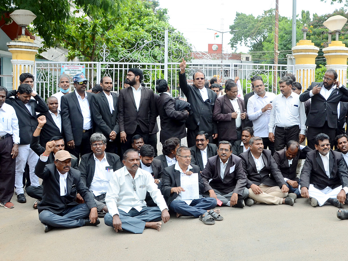 Best Photos of The Week in AP and Telangana Photo Gallery - Sakshi8