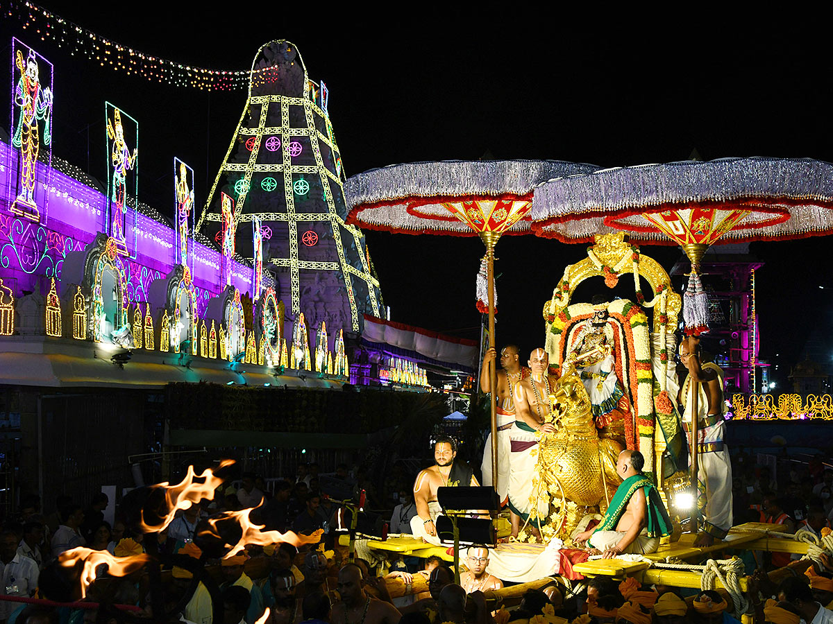 Hamsa Vahana Seva Tirumala Srivari Brahmotsavam - Sakshi12