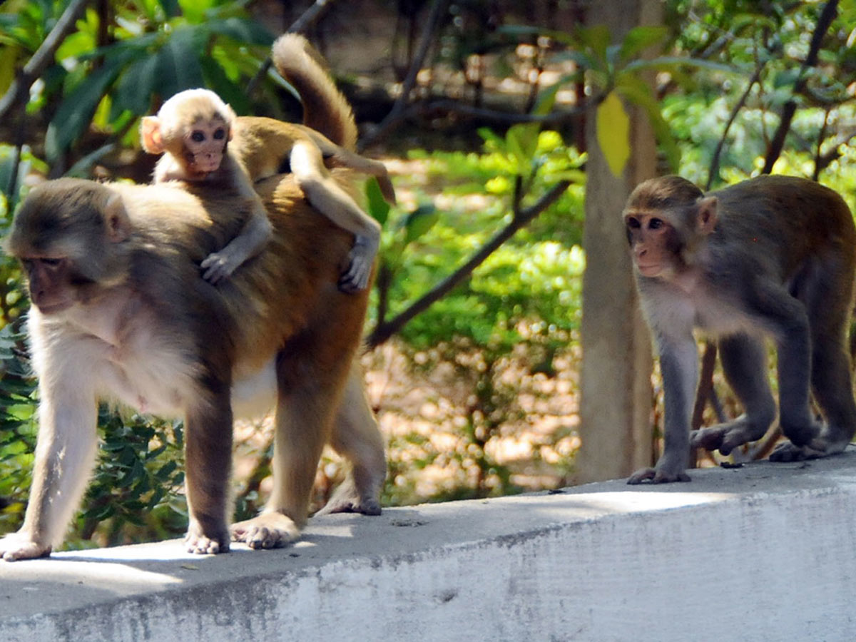 Best Photos of The Week in AP and Telangana Photo Gallery - Sakshi3