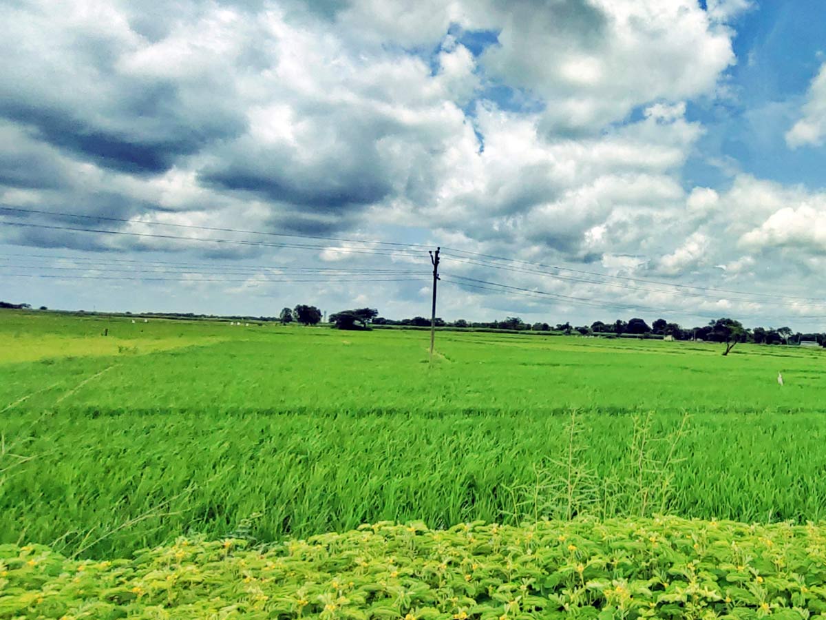 Best Photos of The Week in AP and Telangana Photo Gallery - Sakshi21