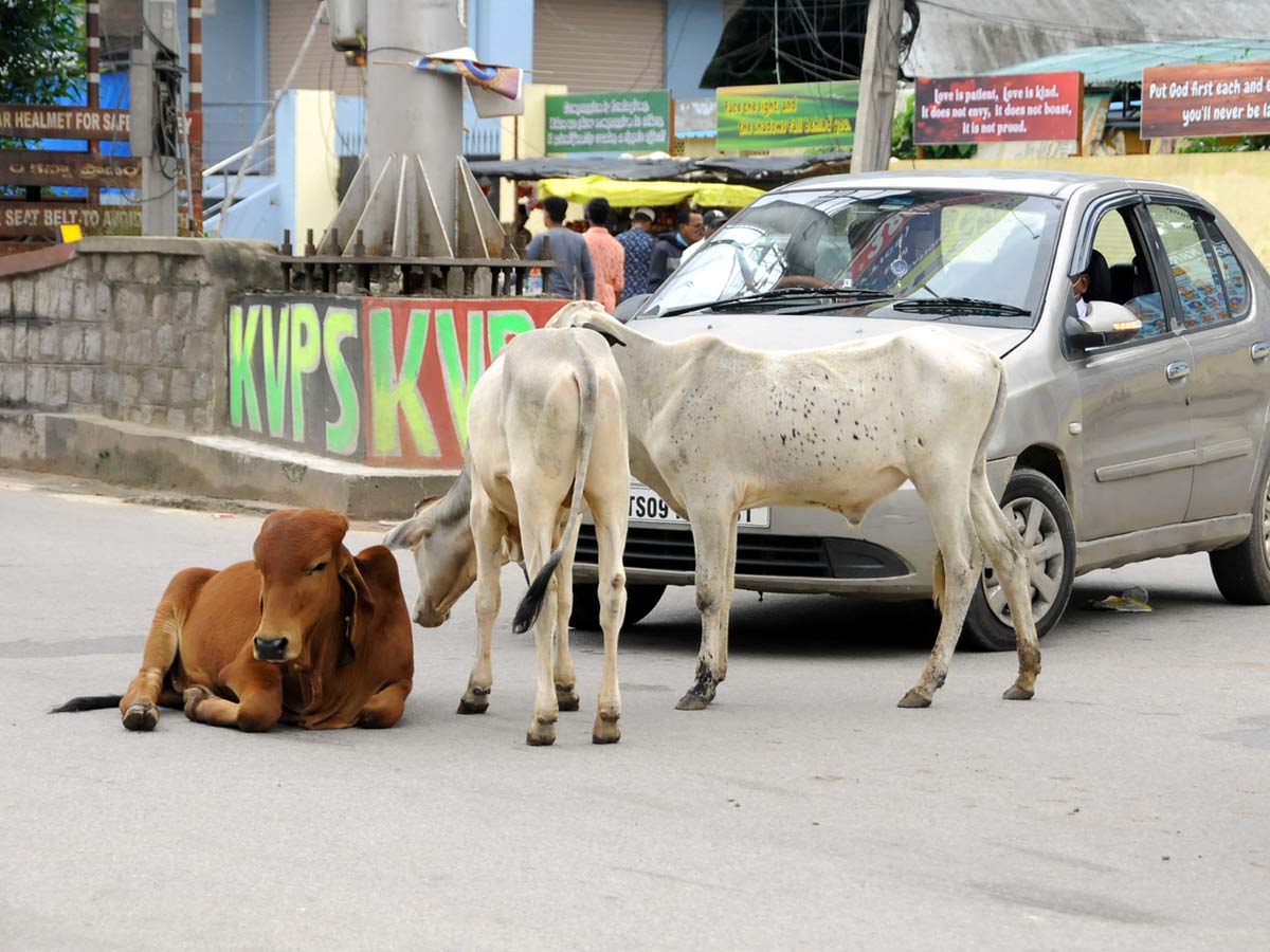 Best Photos of The Week in AP and Telangana Photo Gallery - Sakshi25