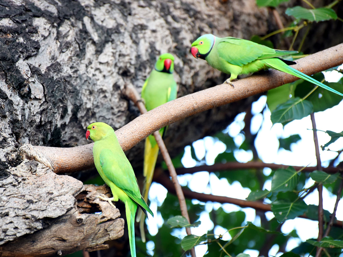 Best Photos of The Week in AP and Telangana Photo Gallery - Sakshi53