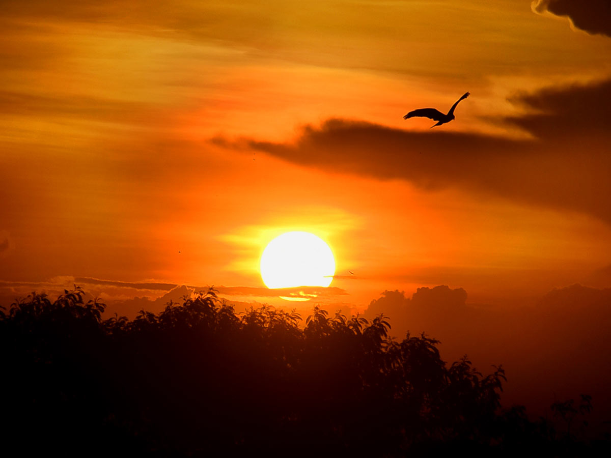 Best Photos of The Week in AP and Telangana Photo Gallery - Sakshi56