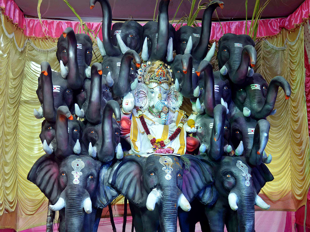 Best Photos of The Week in AP and Telangana Photo Gallery - Sakshi59