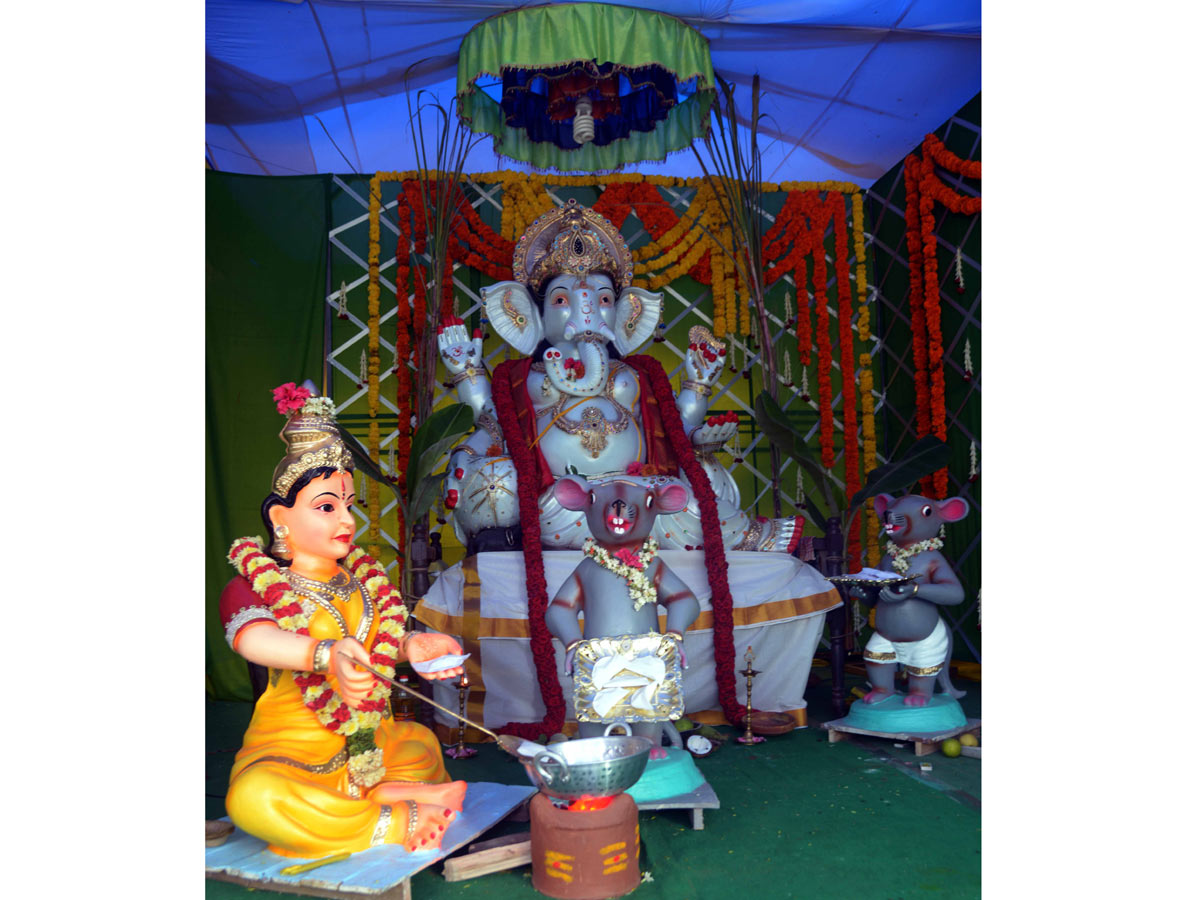 Best Photos of The Week in AP and Telangana Photo Gallery - Sakshi60