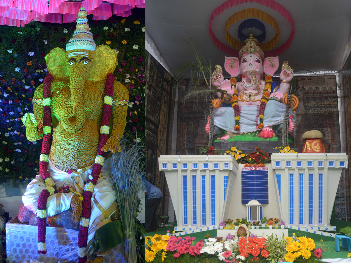 Best Photos of The Week in AP and Telangana Photo Gallery - Sakshi64