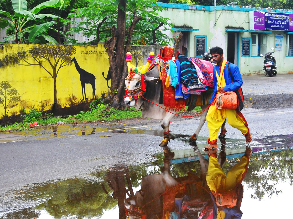 Best Photos of The Week in AP and Telangana Photo Gallery - Sakshi74