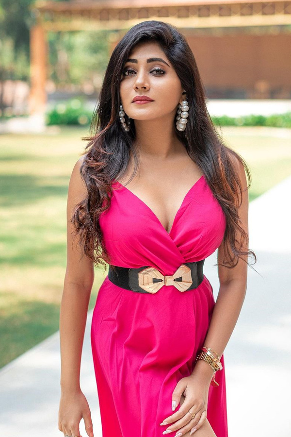 Bigg Boss 6 Telugu Contestant Vasanthi Krishnan Photo Gallery - Sakshi15