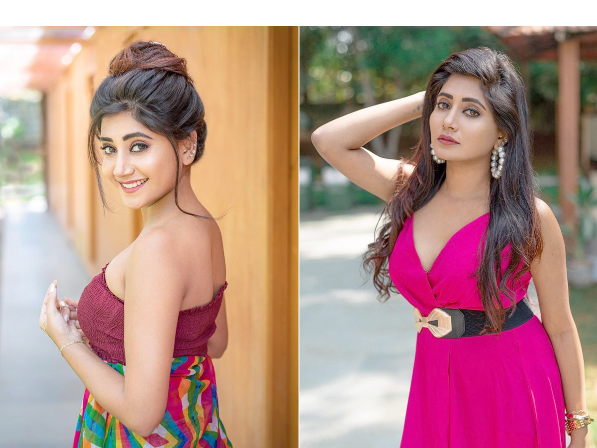 Bigg Boss 6 Telugu Contestant Vasanthi Krishnan Photo Gallery - Sakshi1
