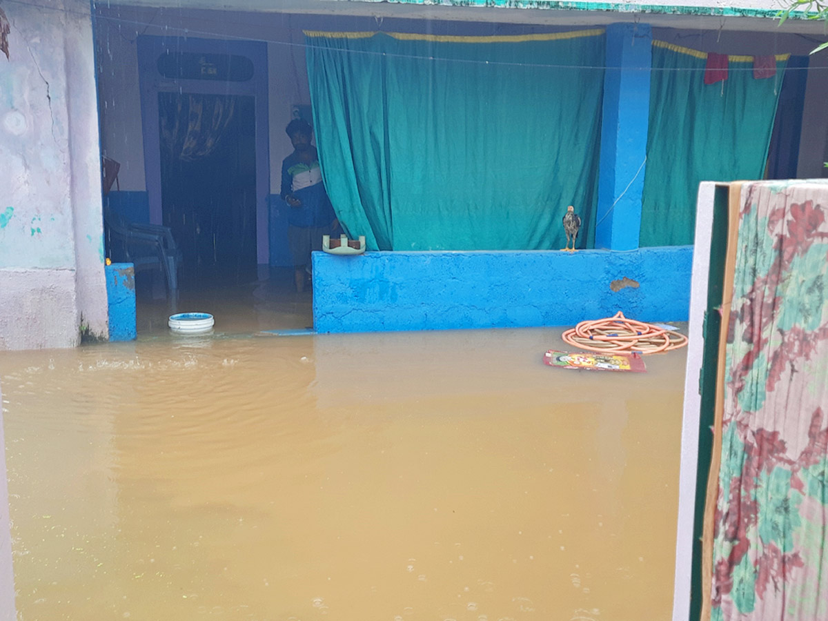 Heavy rains and thunderstorm in both Telugu states - Sakshi38
