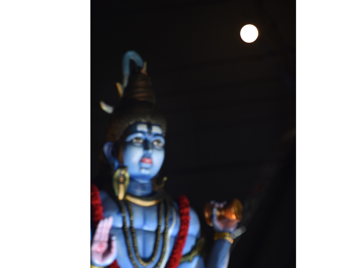 Best Photos of The Week in AP and Telangana Photo Gallery - Sakshi50