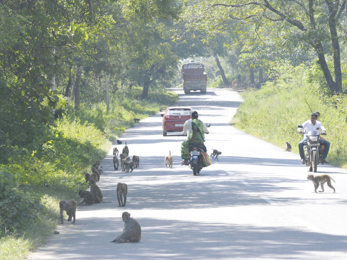Best Photos of The Week in AP and Telangana Photo Gallery - Sakshi51