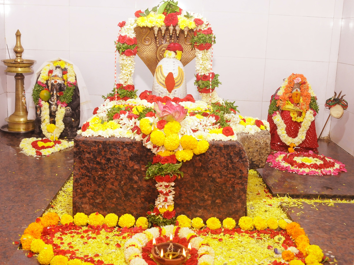 Best Photos of The Week in AP and Telangana Photo Gallery - Sakshi56