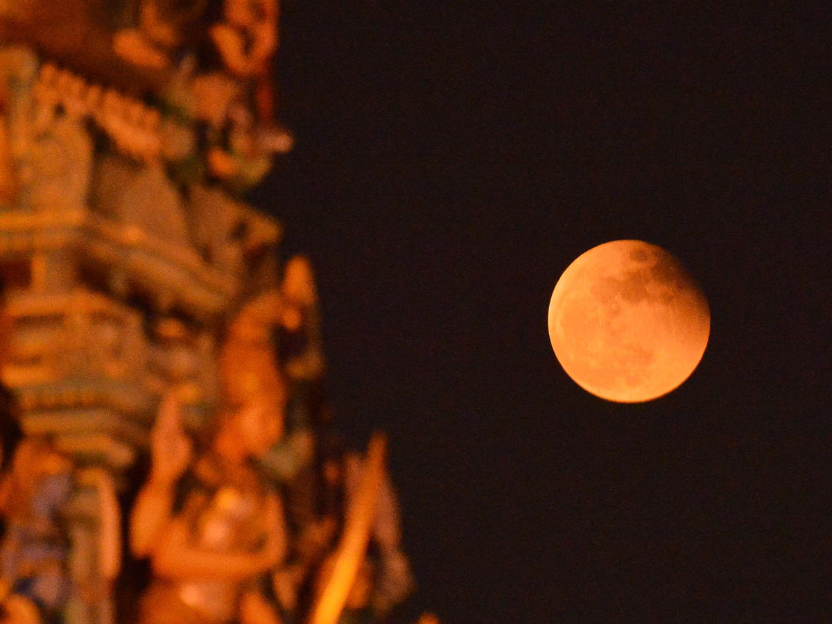 Best Photos of The Week in AP and Telangana Photo Gallery - Sakshi75