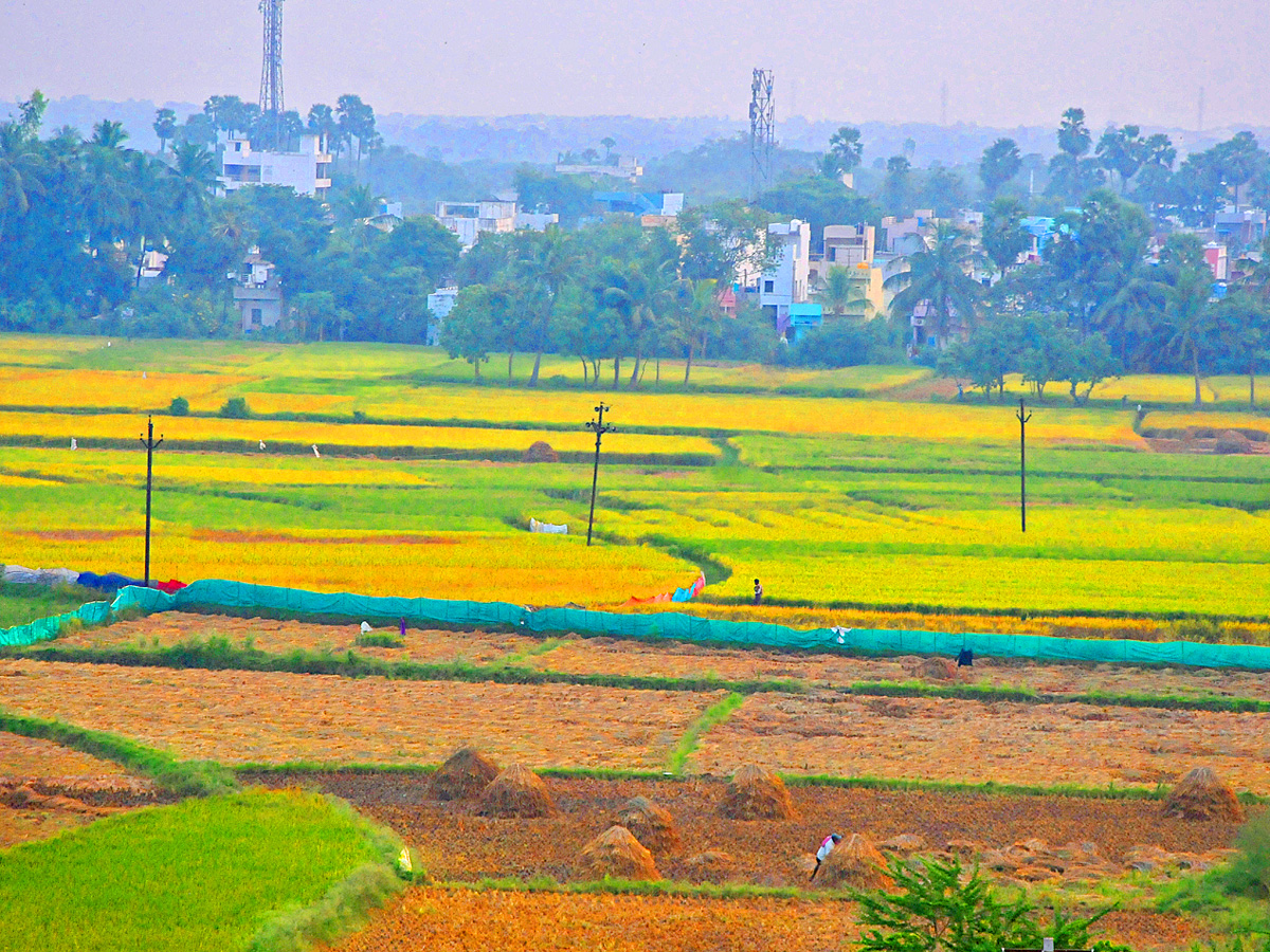 Best Photos of The Week in AP and Telangana Photo Gallery - Sakshi84