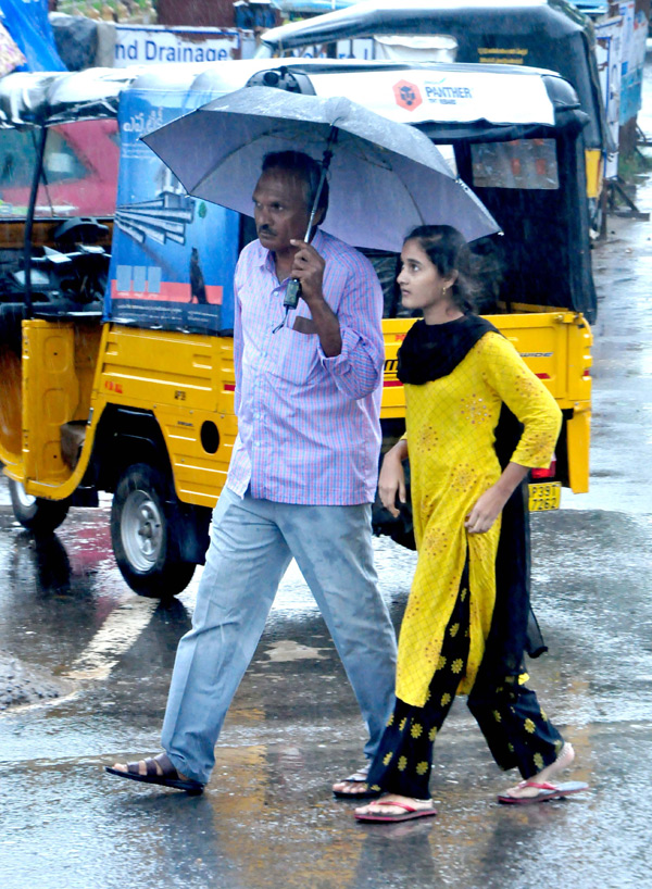 Heavy Rains in Nellore District  - Sakshi5