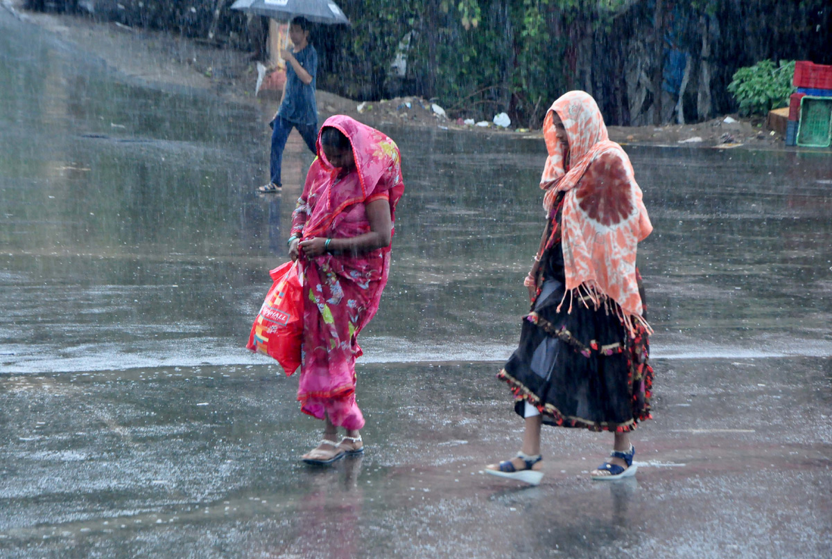 Heavy Rains in Nellore District  - Sakshi2