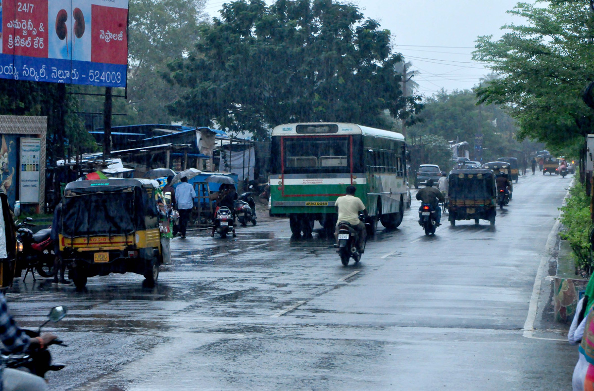 Heavy Rains in Nellore District  - Sakshi8