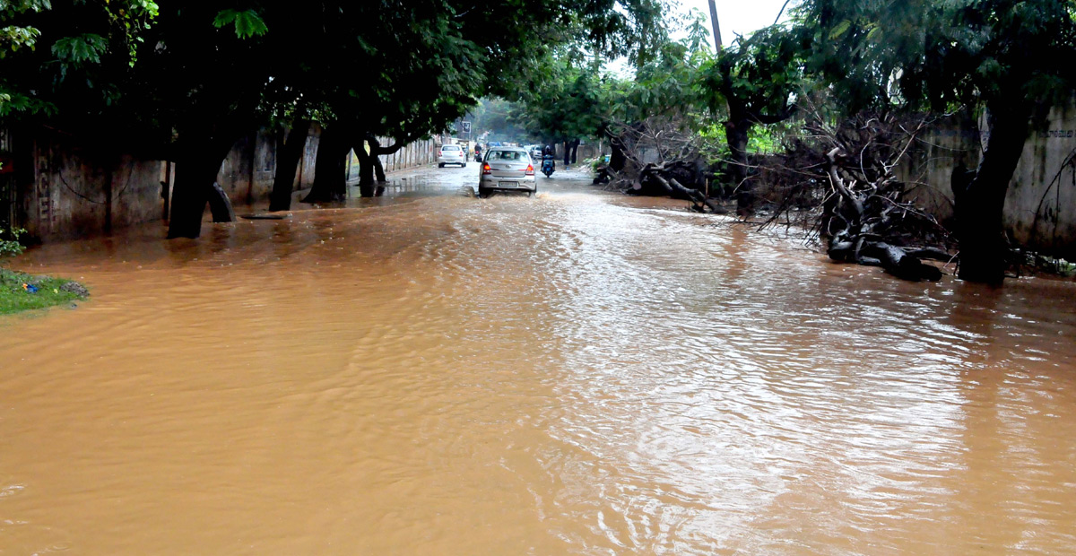 Heavy Rains in Nellore District  - Sakshi11