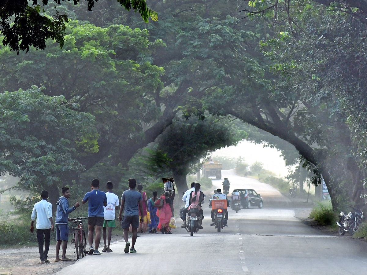 Best Photos of The Week in AP and Telangana Photo Gallery - Sakshi12