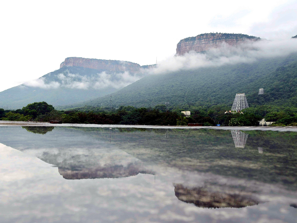 Best Photos of The Week in AP and Telangana Photo Gallery - Sakshi42