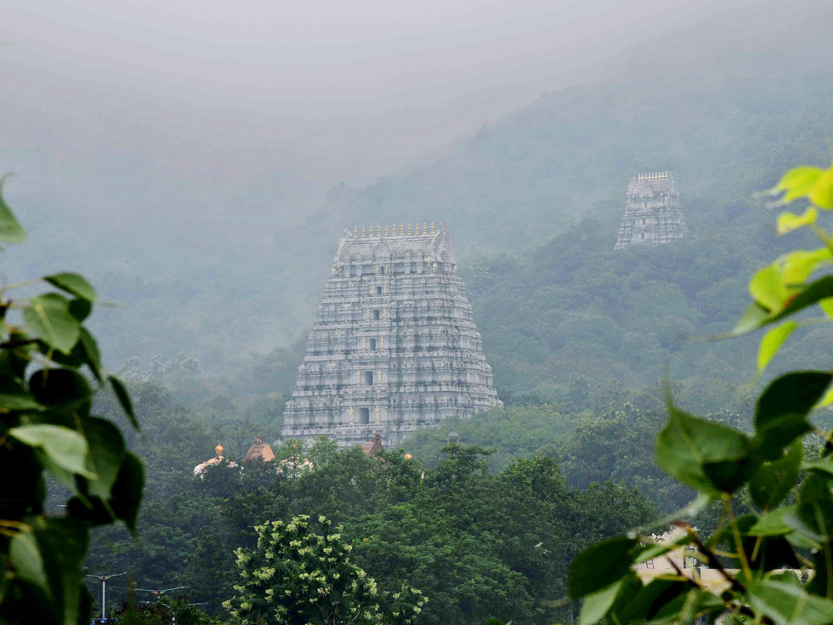 Best Photos of The Week in AP and Telangana Photo Gallery - Sakshi43