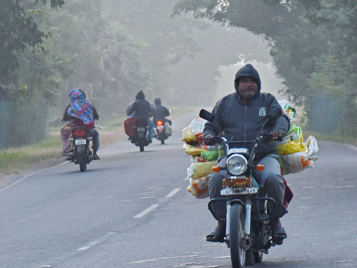 Best Photos of The Week in AP and Telangana Photo Gallery - Sakshi59