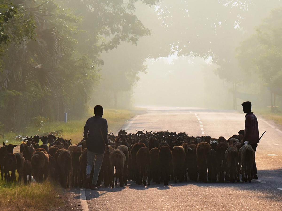 Best Photos of The Week in AP and Telangana Photo Gallery - Sakshi60