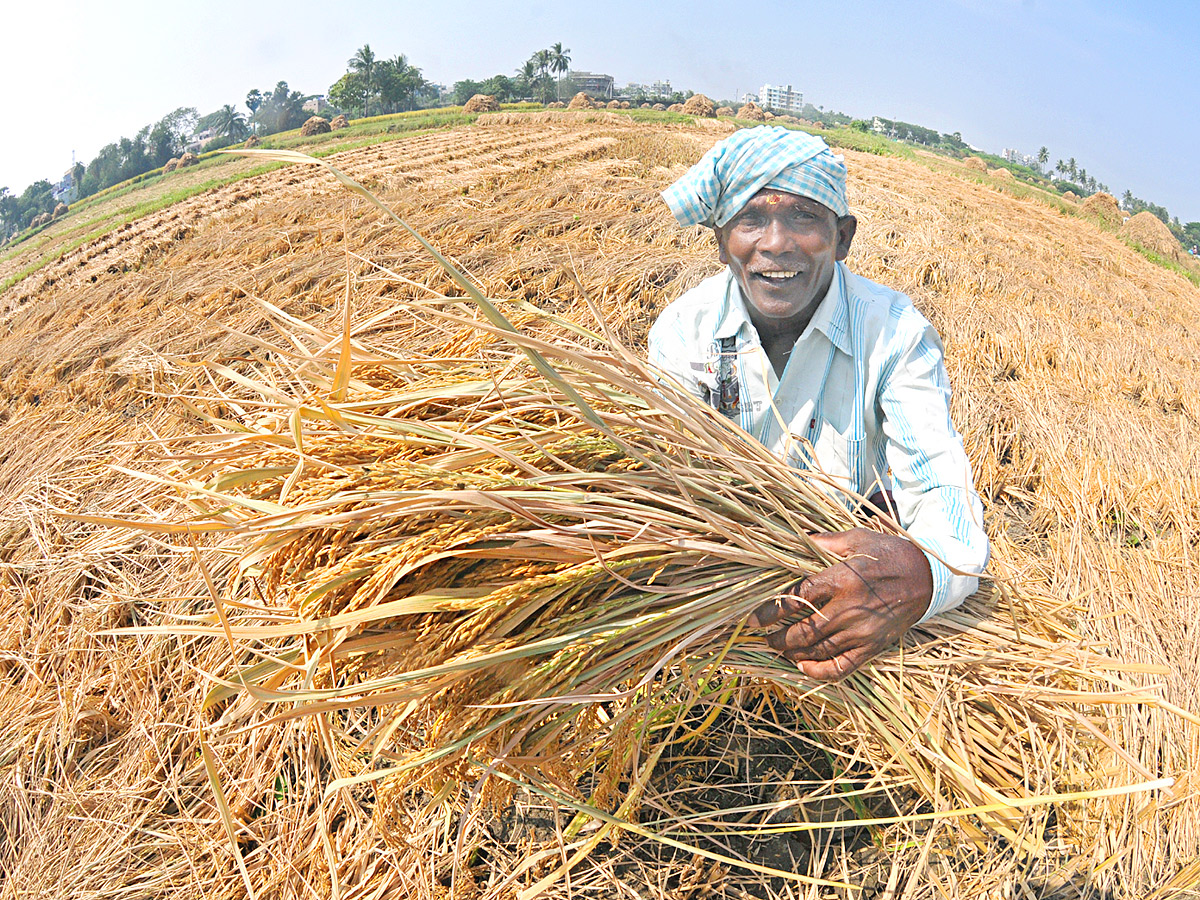 Best Photos of The Week in AP and Telangana Photo Gallery - Sakshi73