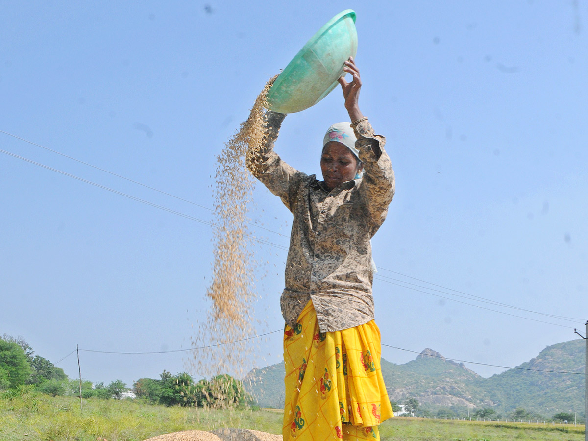 Best Photos of The Week in AP and Telangana Photo Gallery - Sakshi89