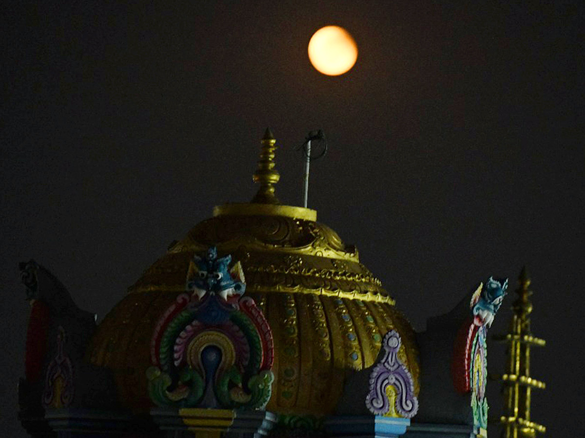 Best Photos of The Week in AP and Telangana Photo Gallery - Sakshi90